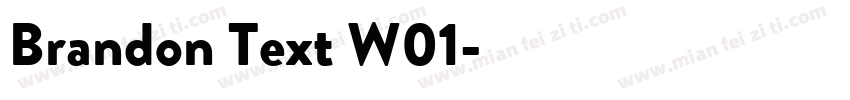 Brandon Text W01字体转换
